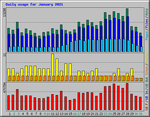 Daily usage for January 2021