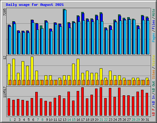 Daily usage for August 2021