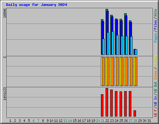 Daily usage for January 2024