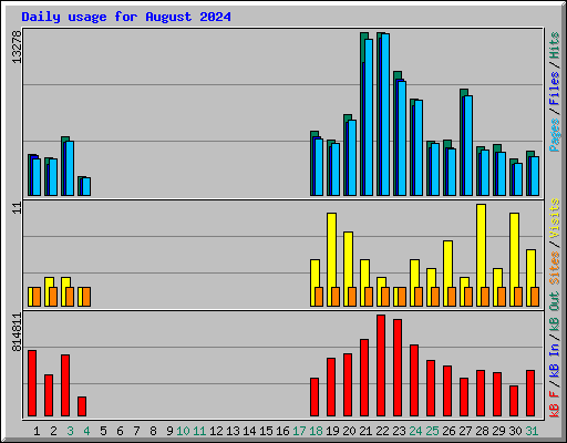 Daily usage for August 2024