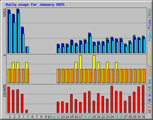 Daily usage for January 2025