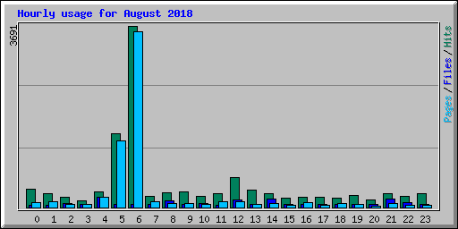 Hourly usage for August 2018