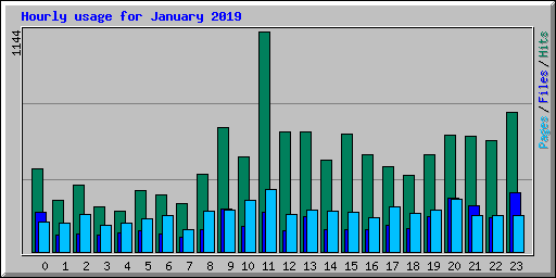 Hourly usage for January 2019