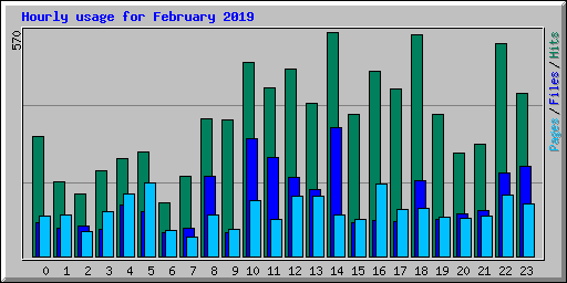 Hourly usage for February 2019