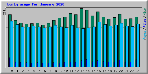 Hourly usage for January 2020