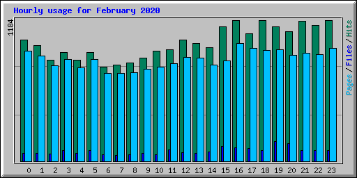 Hourly usage for February 2020