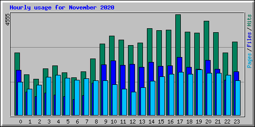 Hourly usage for November 2020