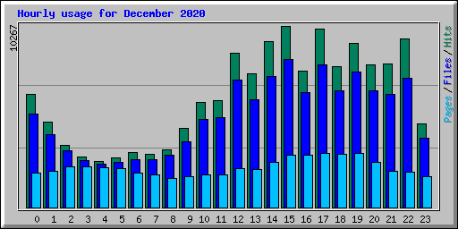 Hourly usage for December 2020