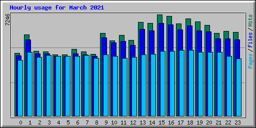 Hourly usage for March 2021