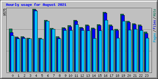 Hourly usage for August 2021