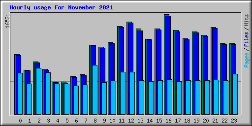 Hourly usage for November 2021