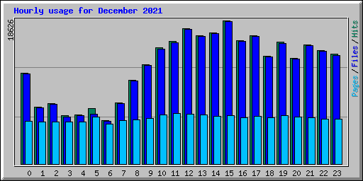 Hourly usage for December 2021