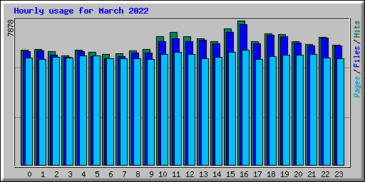 Hourly usage for March 2022