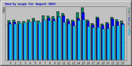 Hourly usage for August 2022