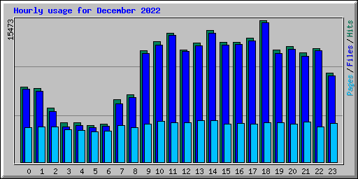 Hourly usage for December 2022