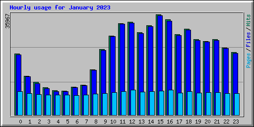 Hourly usage for January 2023