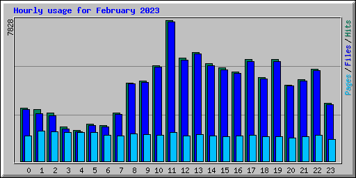 Hourly usage for February 2023