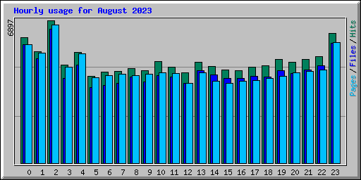 Hourly usage for August 2023