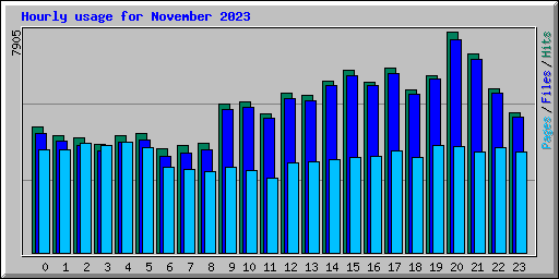 Hourly usage for November 2023