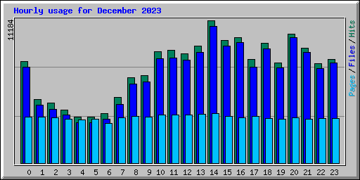 Hourly usage for December 2023