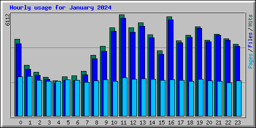 Hourly usage for January 2024