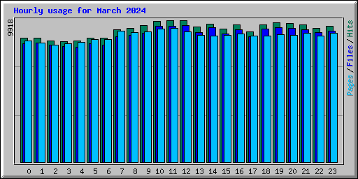 Hourly usage for March 2024
