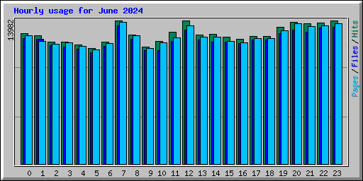 Hourly usage for June 2024