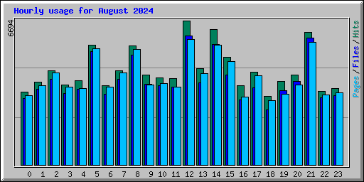 Hourly usage for August 2024