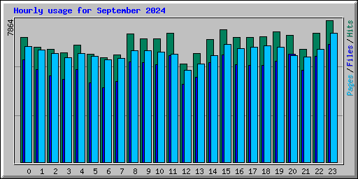 Hourly usage for September 2024