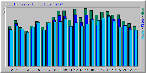 Hourly usage for October 2024