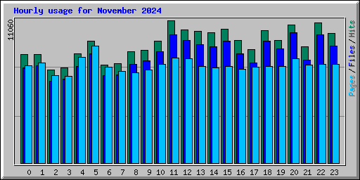 Hourly usage for November 2024