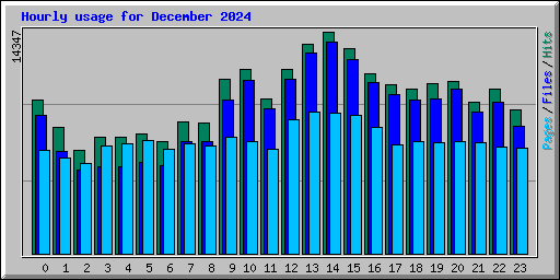 Hourly usage for December 2024