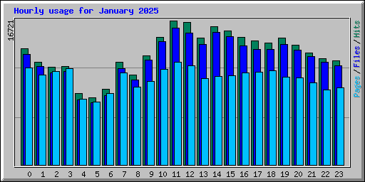 Hourly usage for January 2025