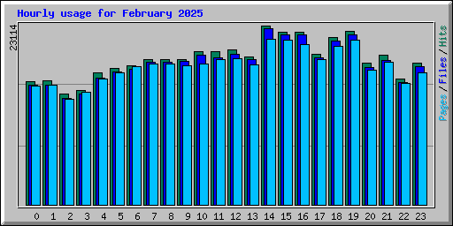 Hourly usage for February 2025