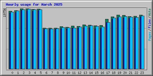 Hourly usage for March 2025