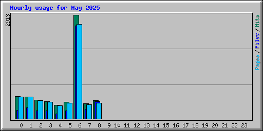 Hourly usage for May 2025