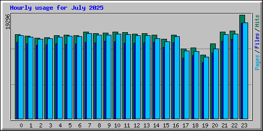 Hourly usage for July 2025