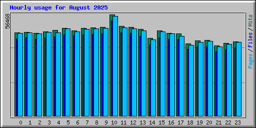 Hourly usage for August 2025