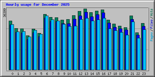 Hourly usage for December 2025