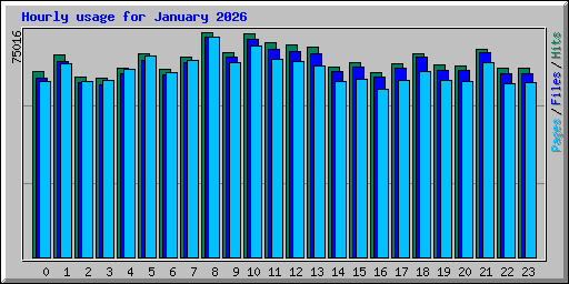Hourly usage for January 2026