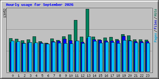 Hourly usage for September 2026