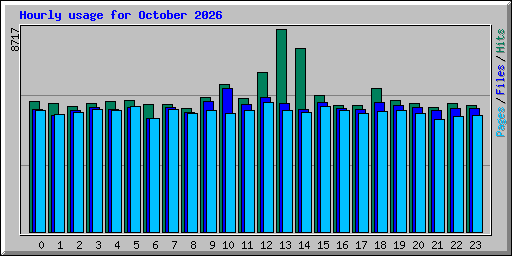 Hourly usage for October 2026